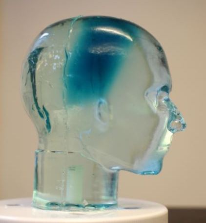 3D printet hoved i dosimetermateriale. Det blå område har modtaget en strålingsdosis. Foto: IFA