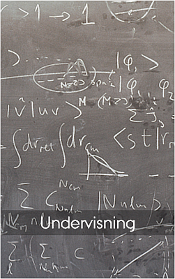 Undervisning (Jens Jacob Iversen/IFA)