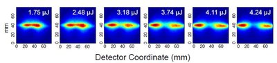 Detector Coordinate (mm)