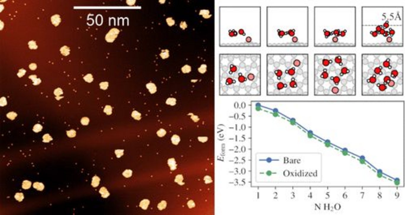 Image from paper