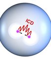 Heliumatomer i en ellers tom boble udveksler energi og ladning. Illustration fra artiklen.