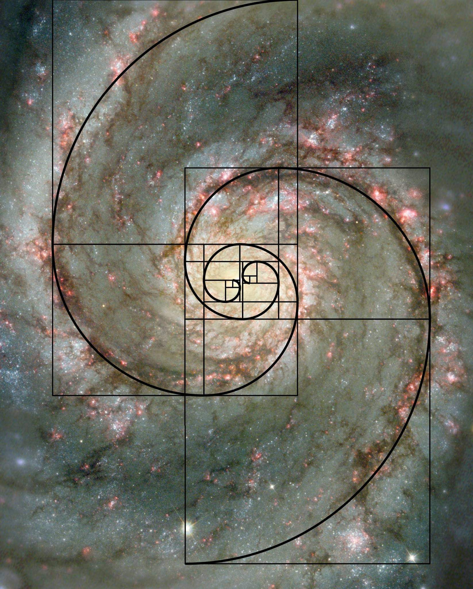 [Translate to English:] The Fibonacci numbers and the golden ratio appear naturally in science and your everyday life. This spiral galaxy has the shape of the golden spiral and is just one out of many examples where the golden ratio occurs.