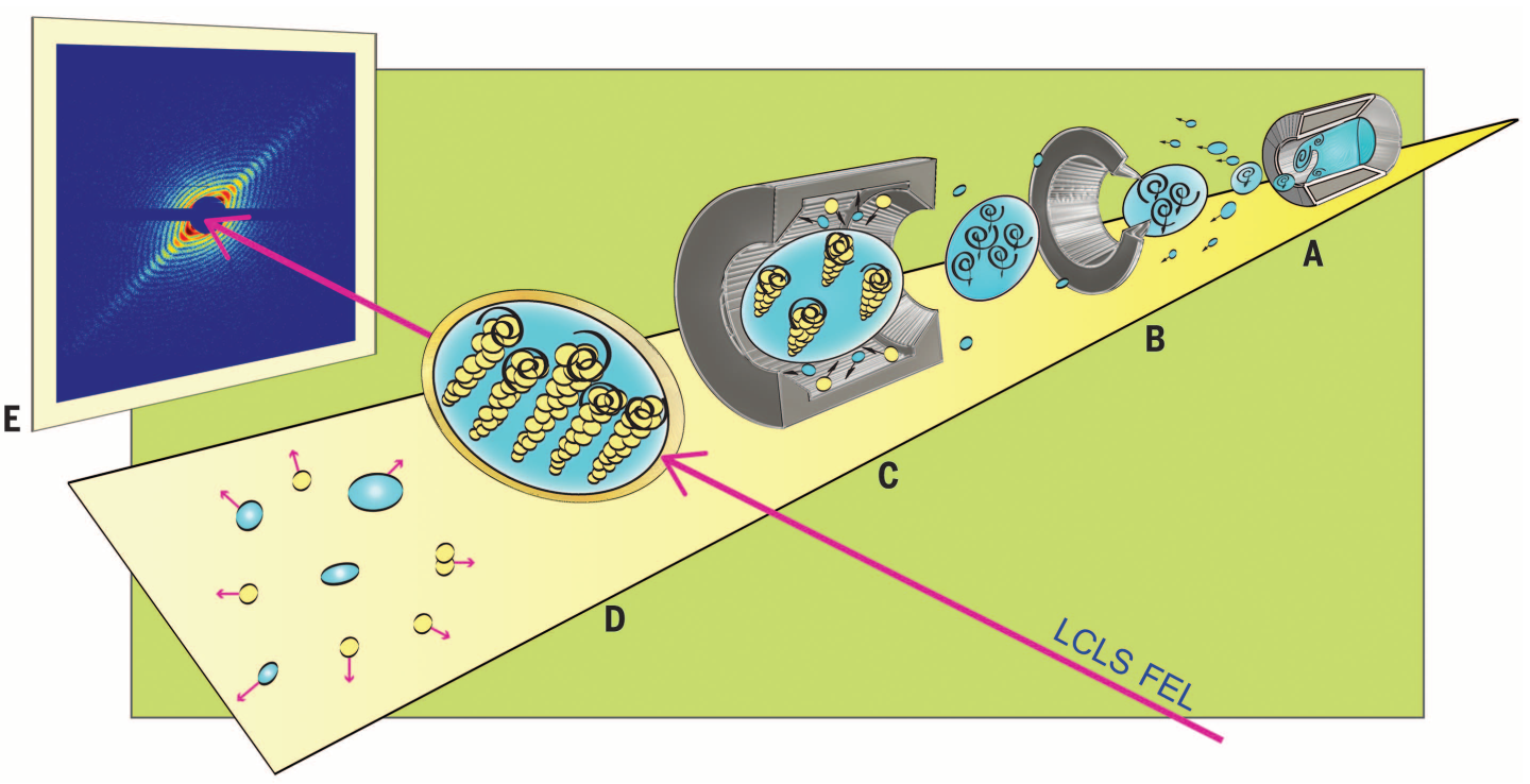 Experimental setup for X-ray diffraction of single superfluid helium-4 nanodroplets with quantum vortices. Gomez, L. F et al. Science (2014).  345, 906.