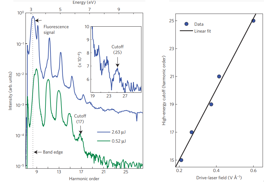 [Translate to English:] High Harmonic Spectra from ZnO