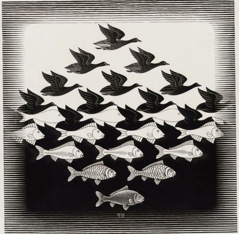 [Translate to English:] “Sky and water 1” M.C. Escher (1938): Det er hverken en fugl eller en fisk.
