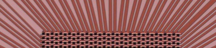 purple lines