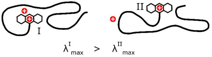 To forskellige geometriske strukturer af et ladet molekyle mærket med et positivt ladet farvestof (tre-ring-strukturen). De to strukturer er forskellige spektroskopisk, idet det til venstre absorberer lys længere mod det røde end molekylet til højre gør pga. Coulomb-vekselvirkningen mellem de to ladninger.