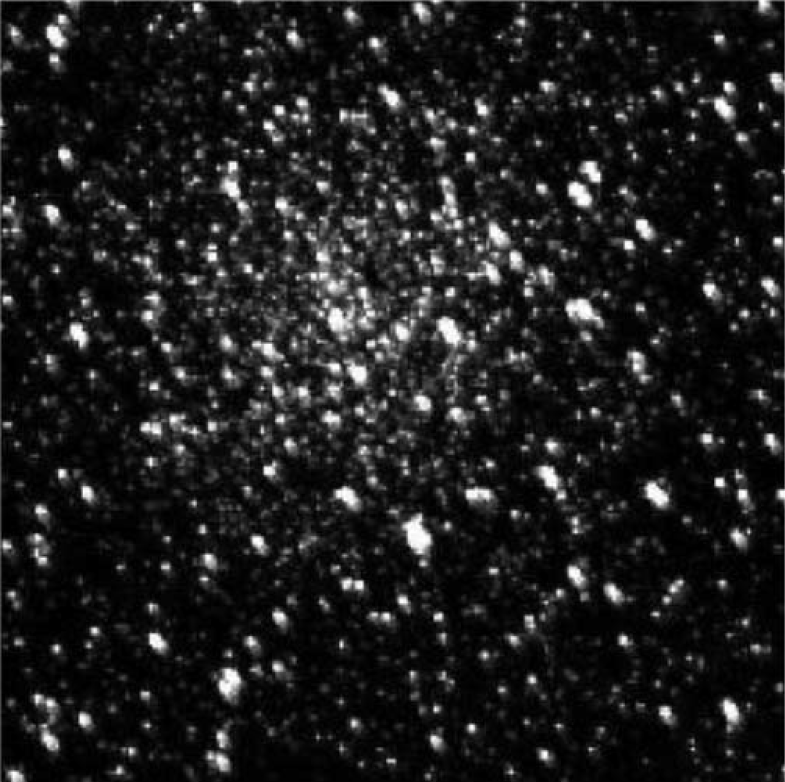 [Translate to English:] Stjernehoben NGC 6791 fotograferet med Keplersatellitten. Kilde: NASA