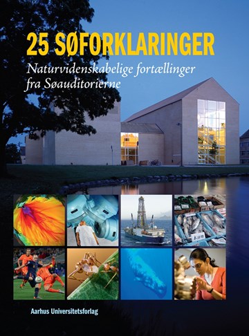 Cover for bogen 25 Søforklaringer