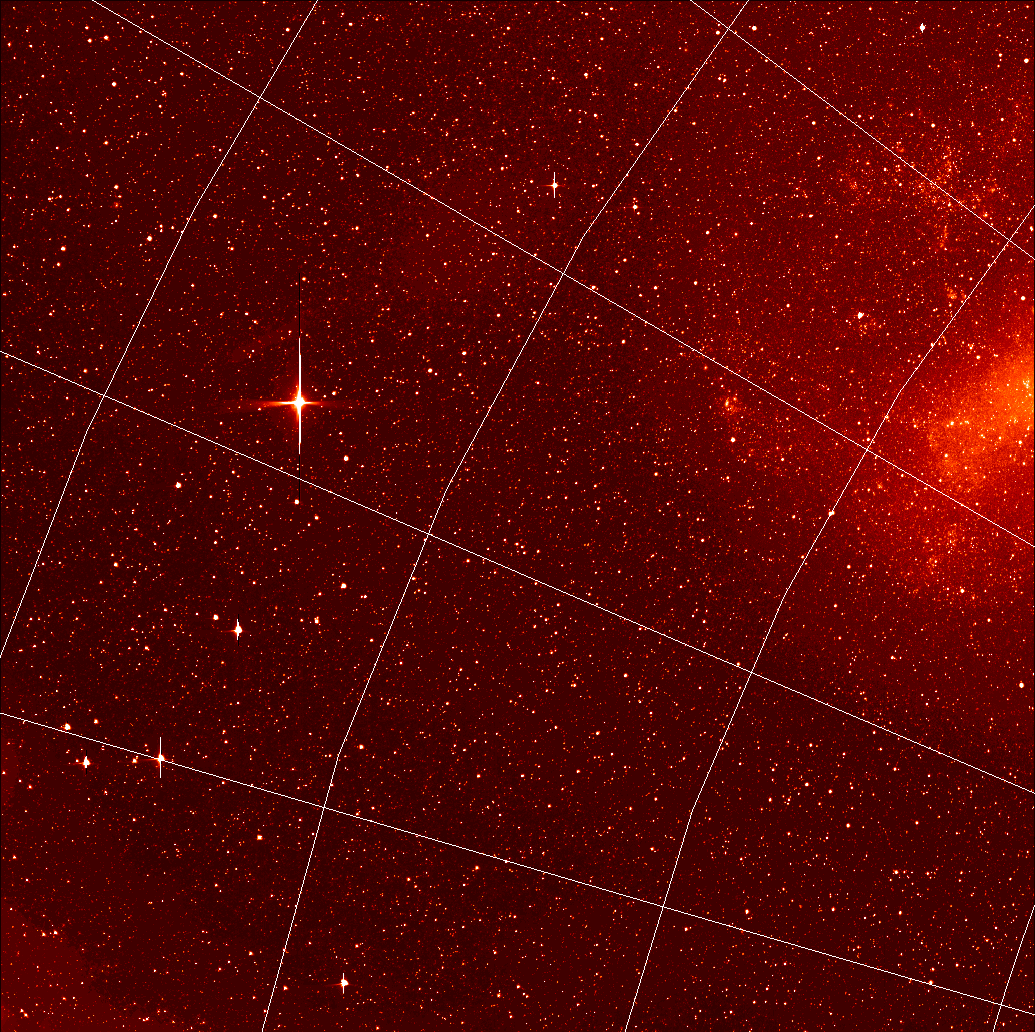 TESS image with lots of stars and part of the LMC